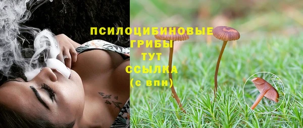 бутират Каменногорск