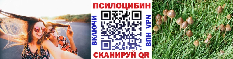 Галлюциногенные грибы Magic Shrooms Далматово